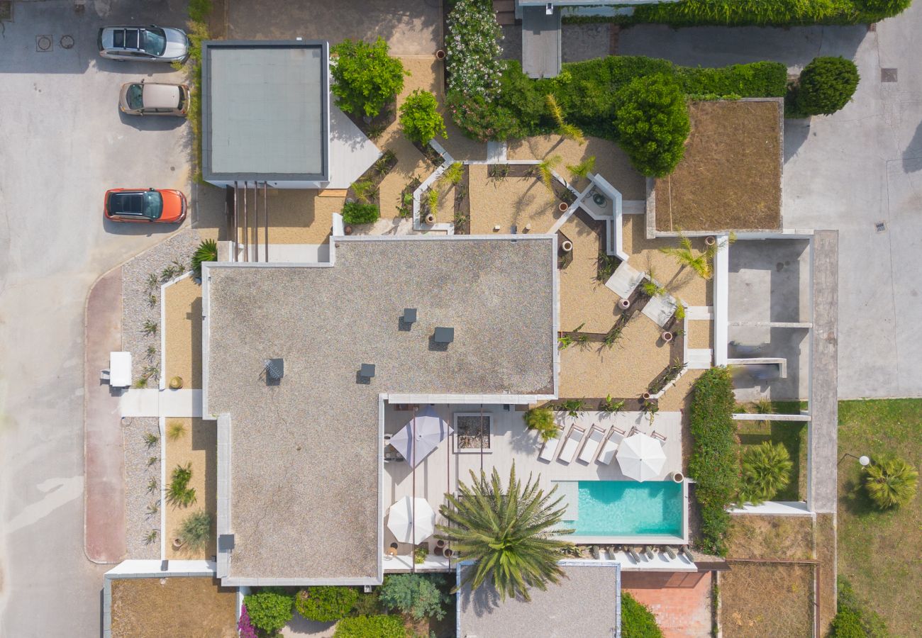 Villa in Grimaud - Villa Serena Palm - Grimaud
