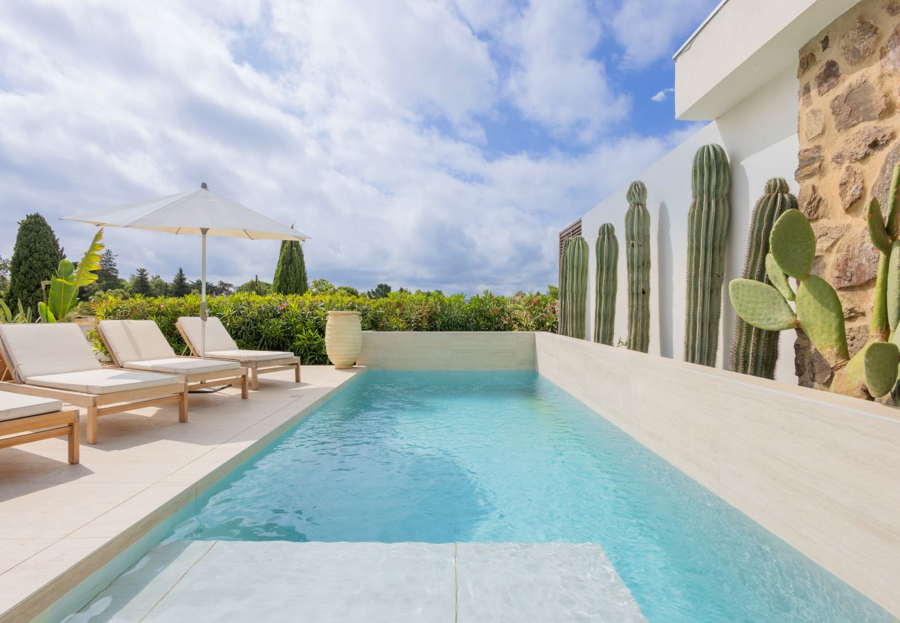 Villa à Grimaud - Villa Serena Palm - Grimaud